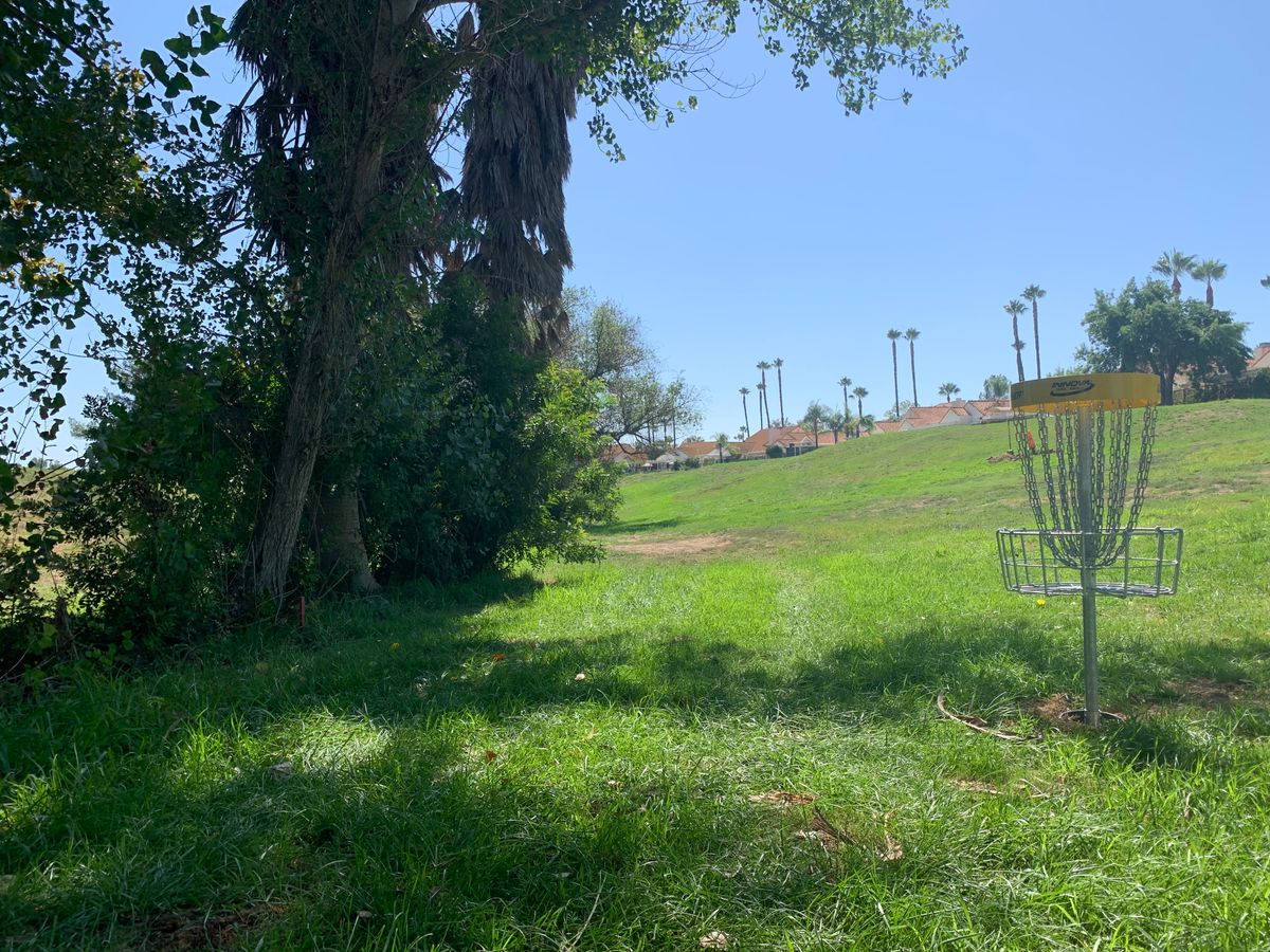 Alpha Hole 4 Basket