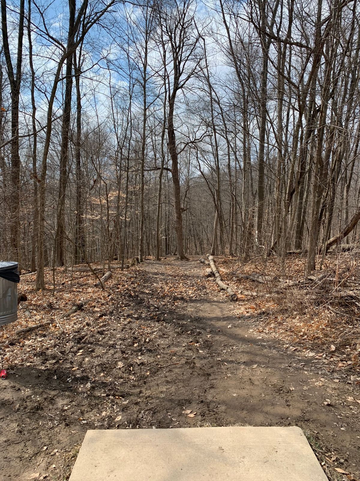 Hole 7 Tee
