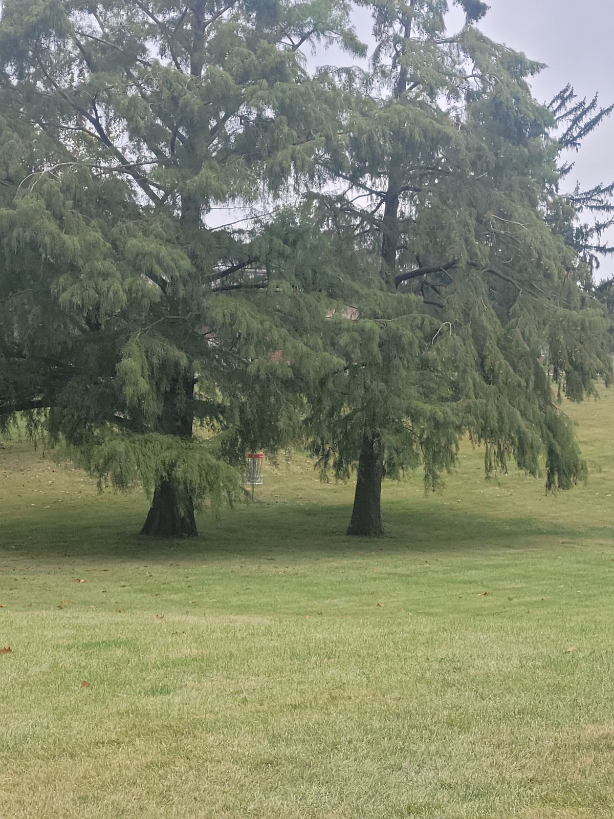 Hole 9 shot is a nice shot right between the trees