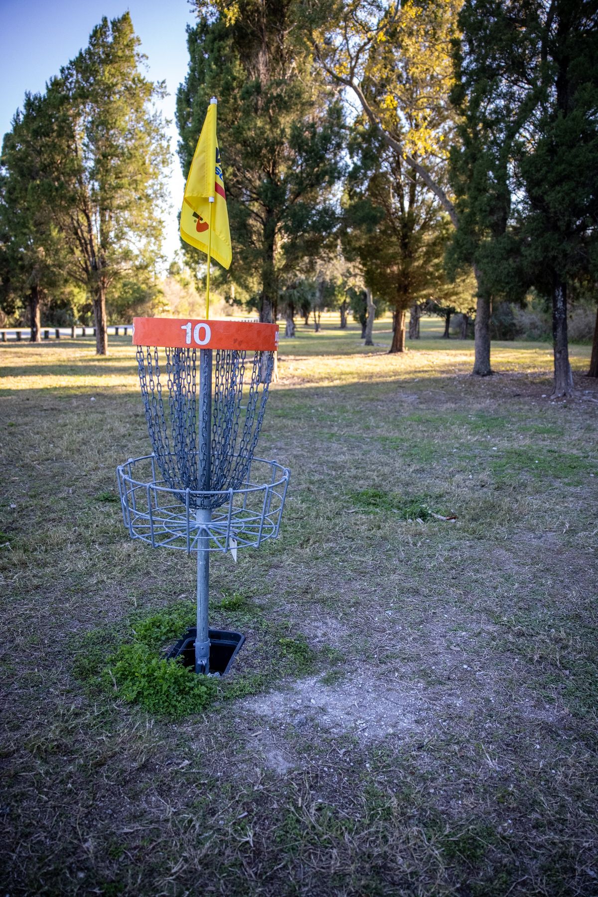 Hole 10 basket and fairway.