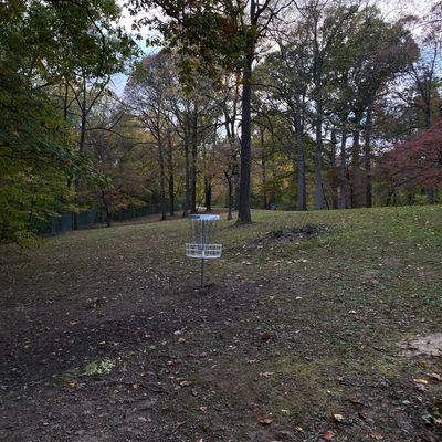 16 basket facing the tee pad
