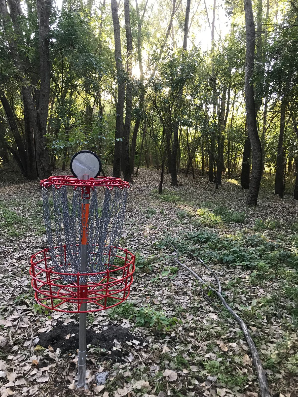 Hole 9 Basket Looking back