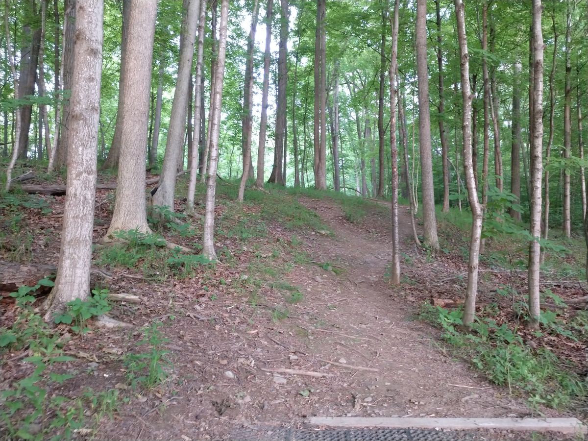 Hole 8