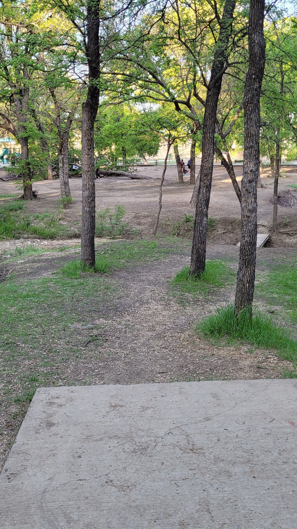 Hole 18 with fallen tree