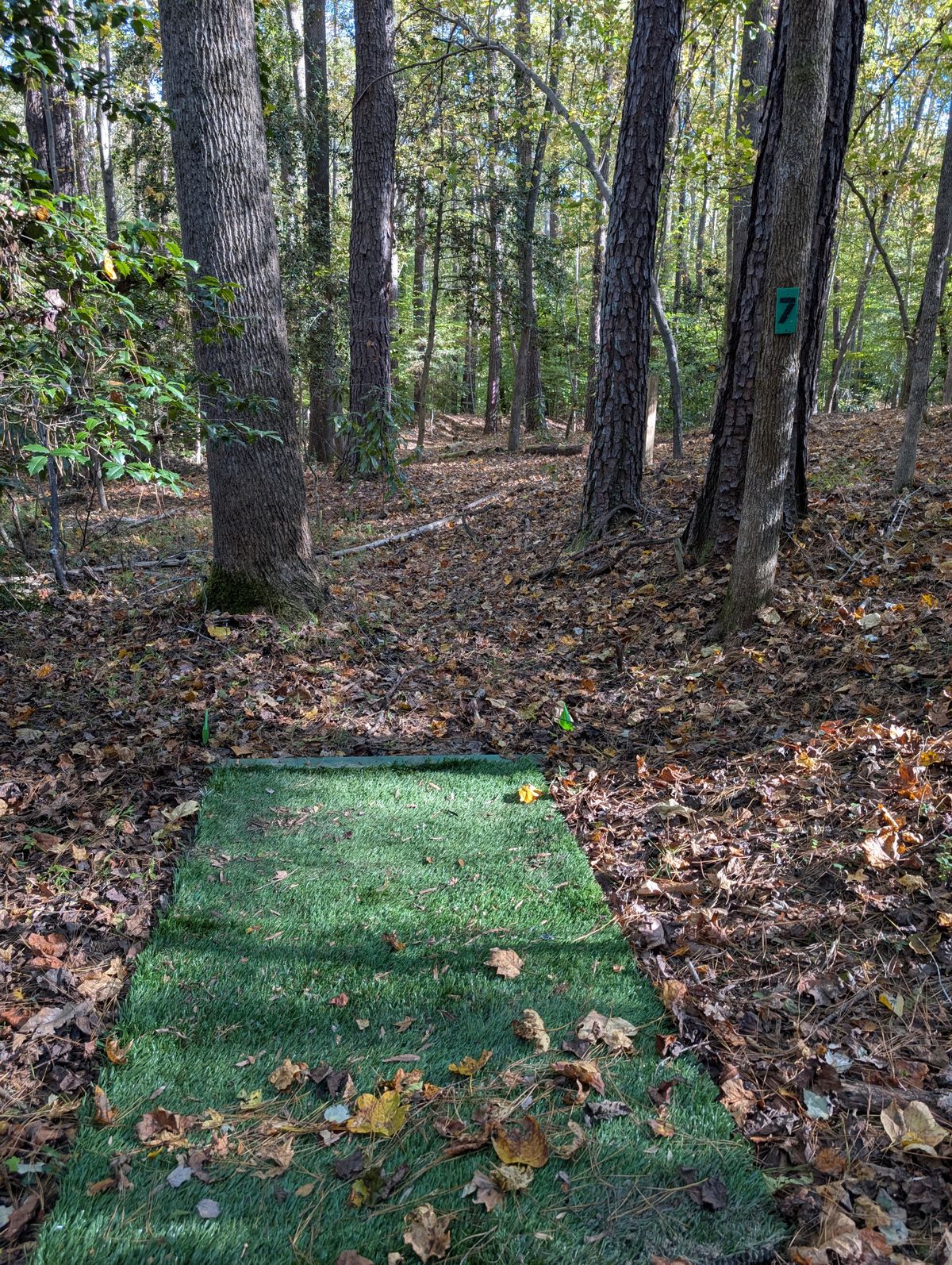 7 Green