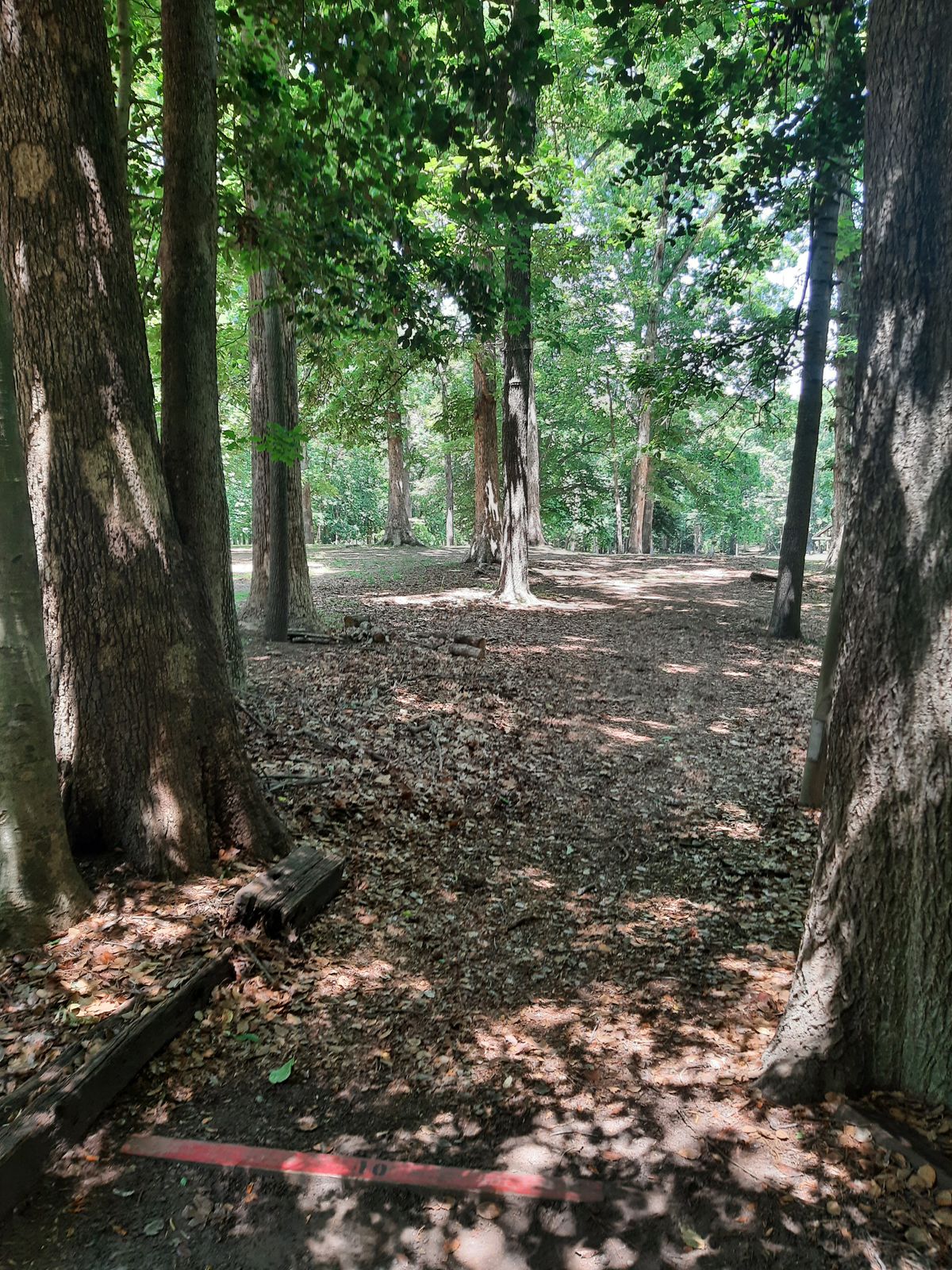 Hole 10 Red Tee