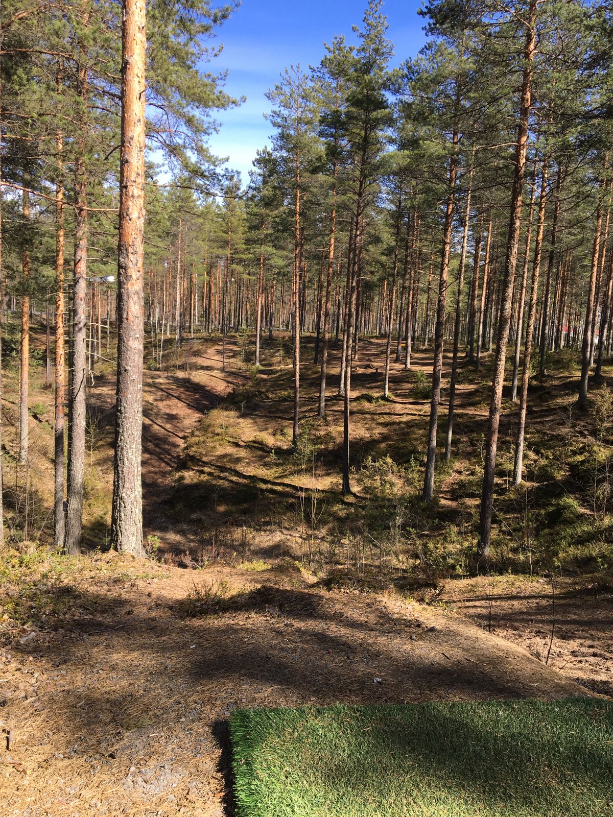 hole 6