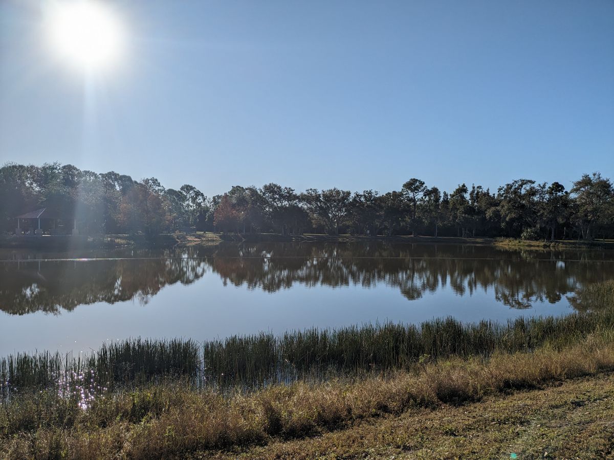 Estero Disc Golf Course