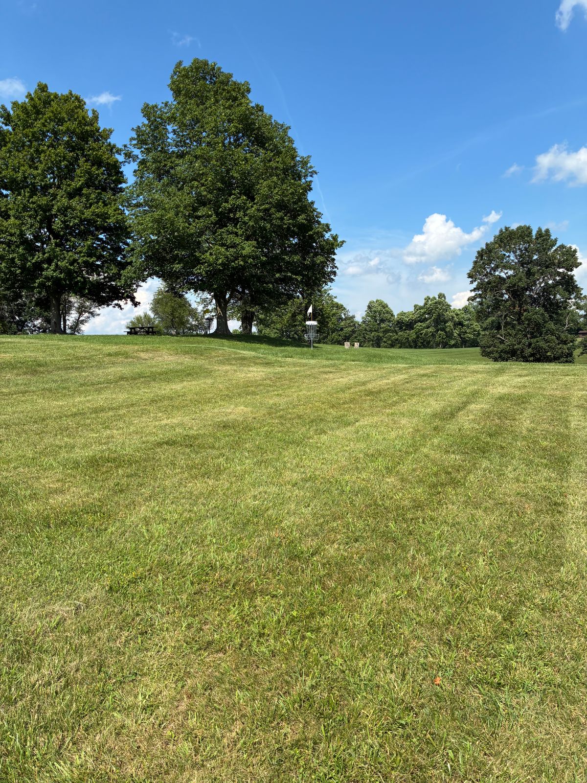 #11 fairway toward baskets.