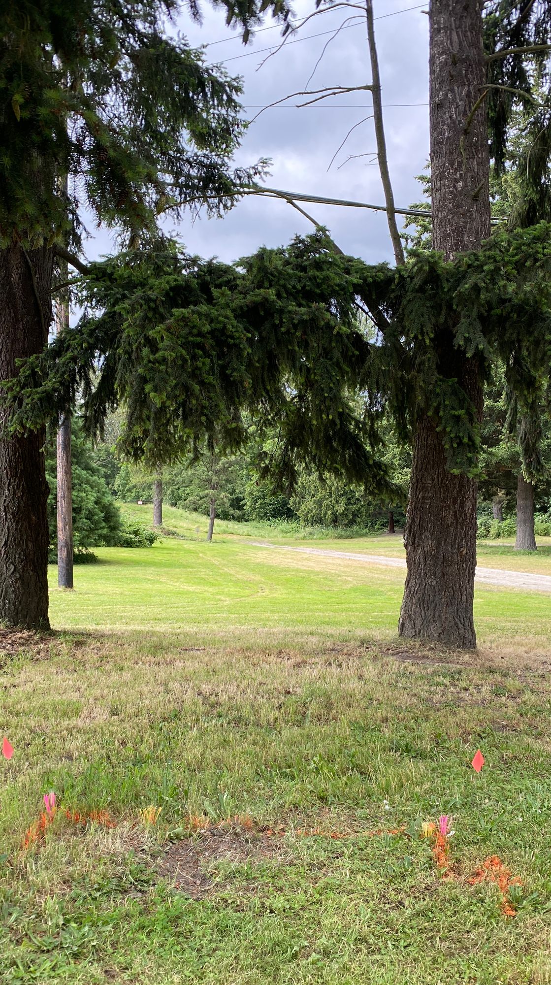 Hole 4, road and beyond is OB