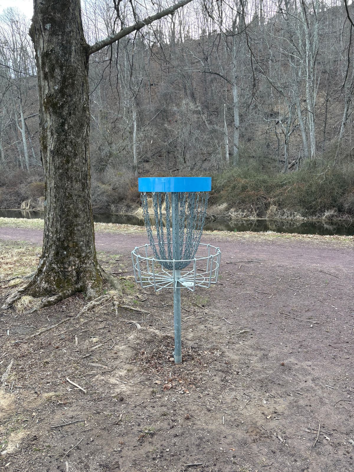 Hole 12 is in the old c position straddling the path.