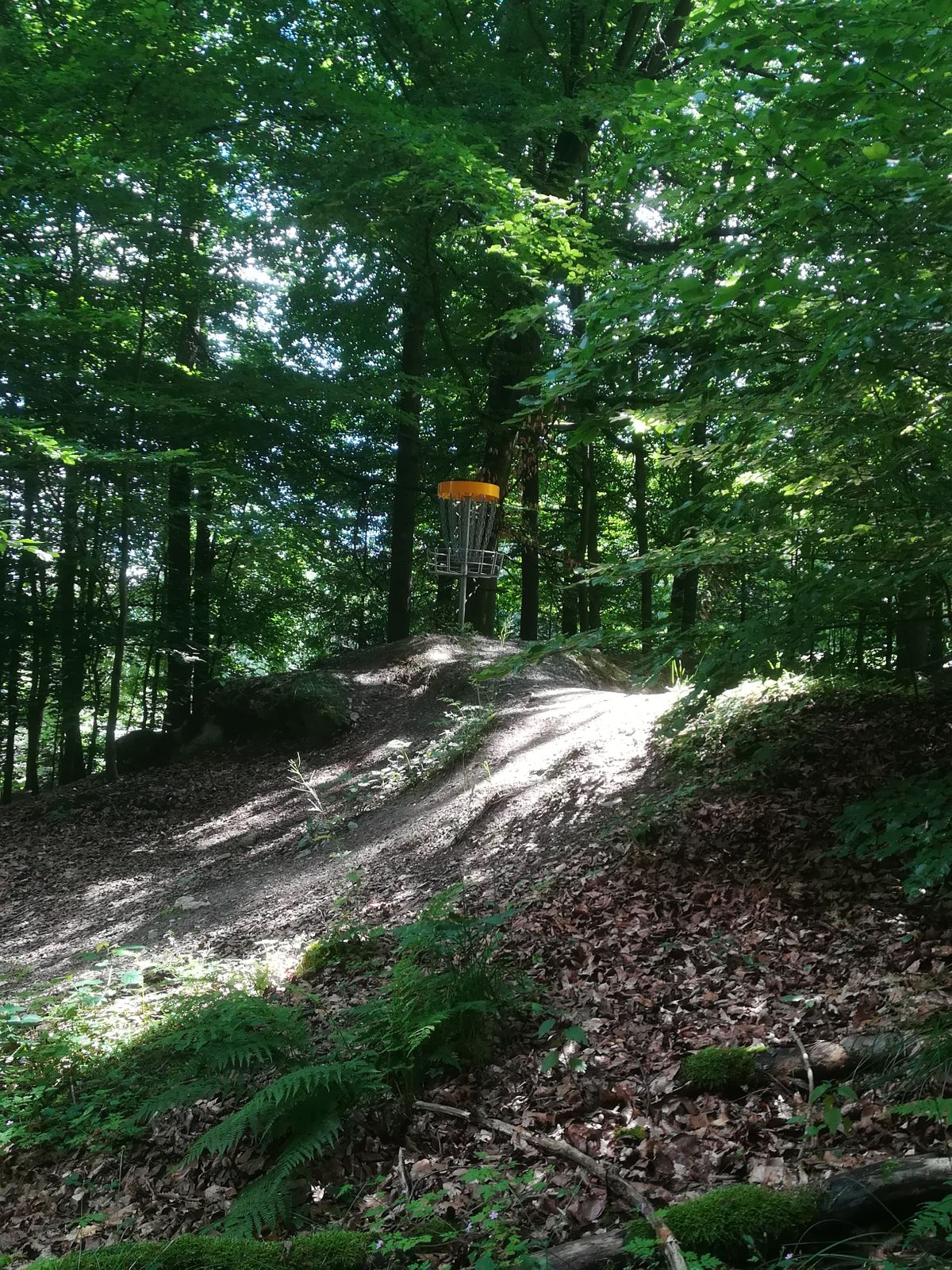 Korb 12 von hinten