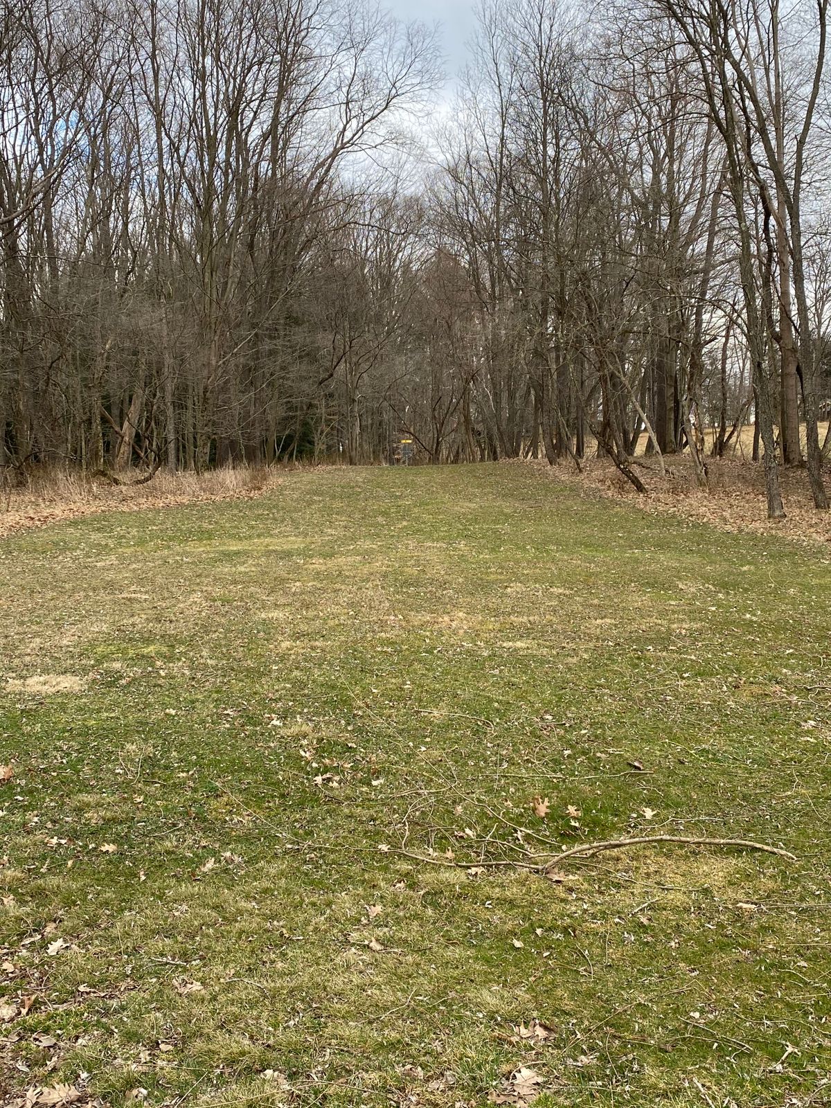 Hole 6 tee