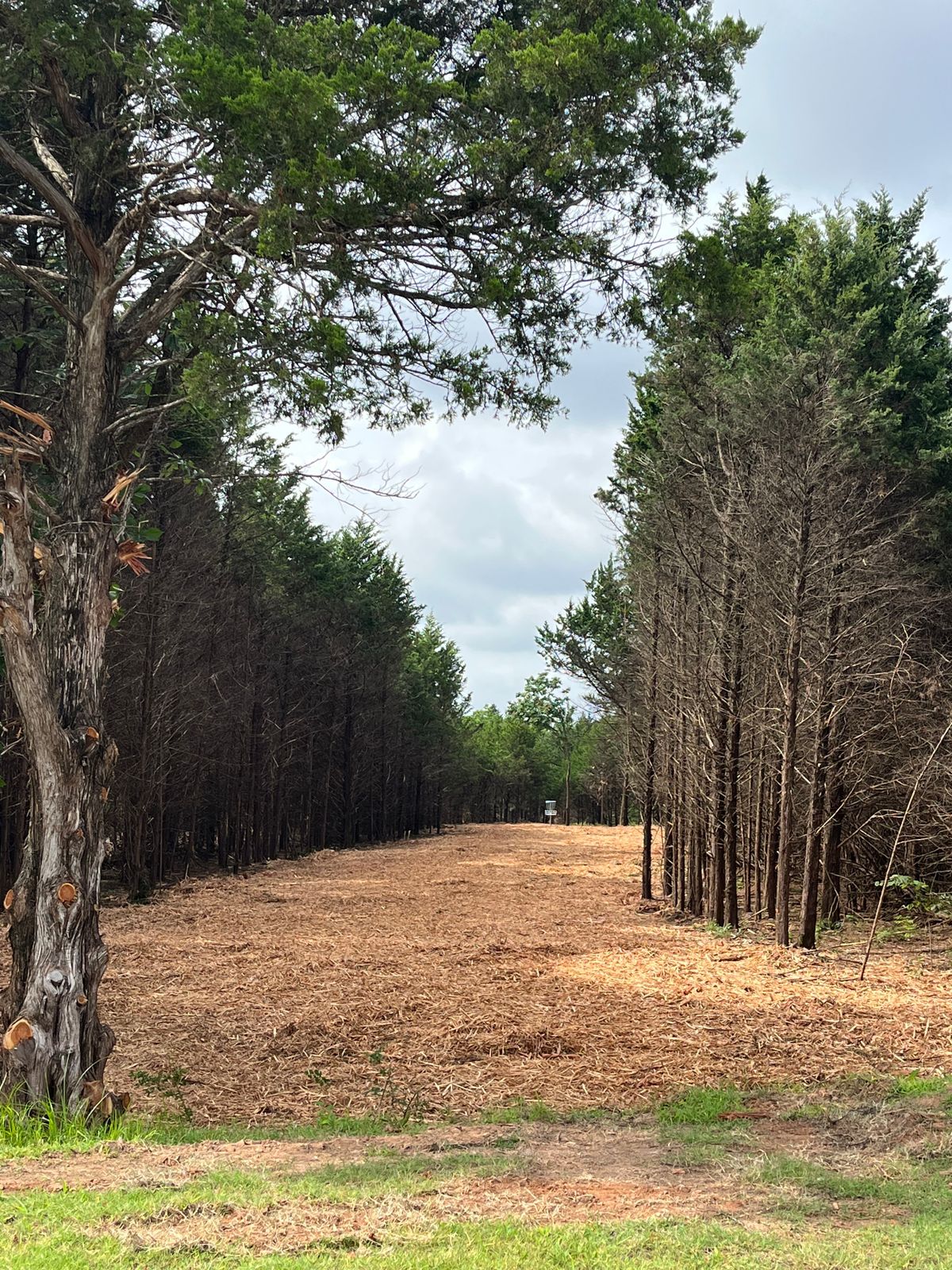Hole 1 B! This is the only par 5 in Shawnee!