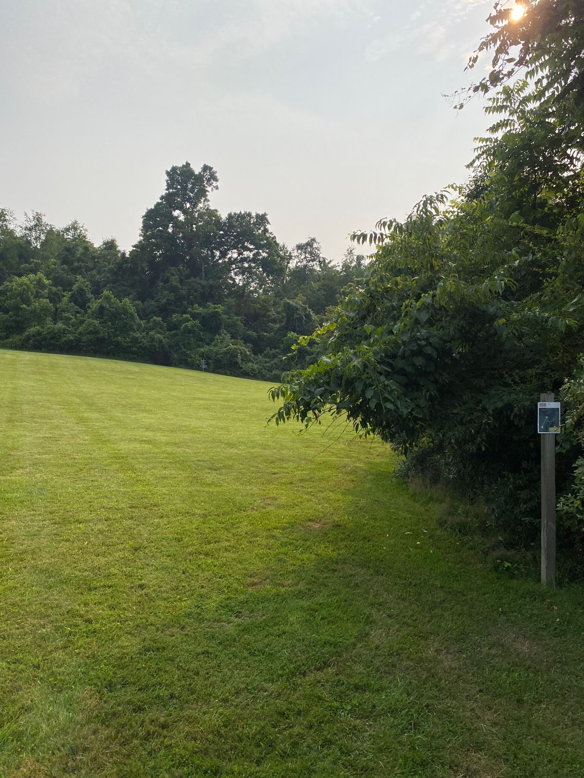 Hole 4 tee