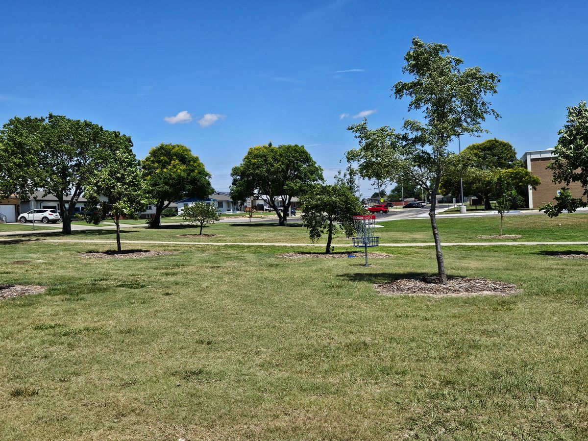 Hole 8 - Green