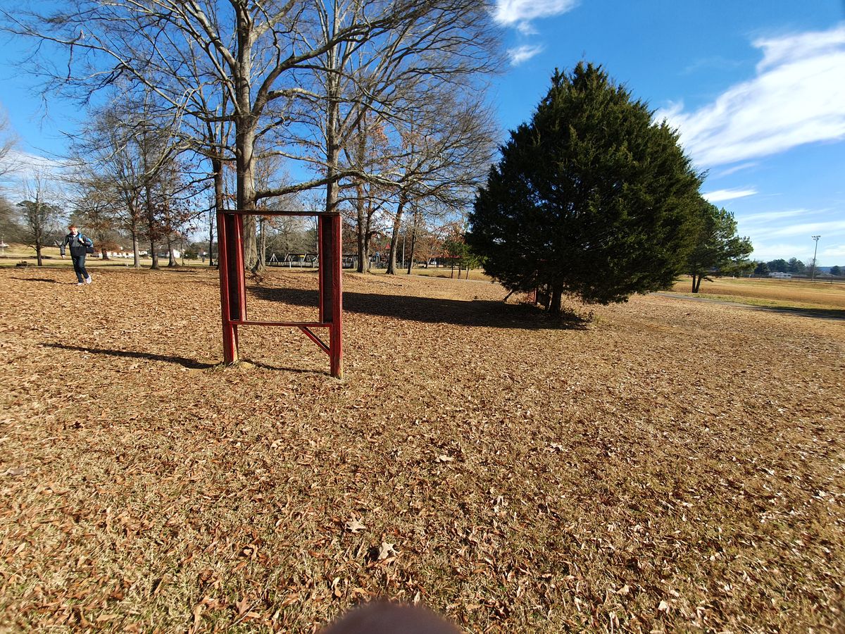 tree amd obstacles at hole 1
