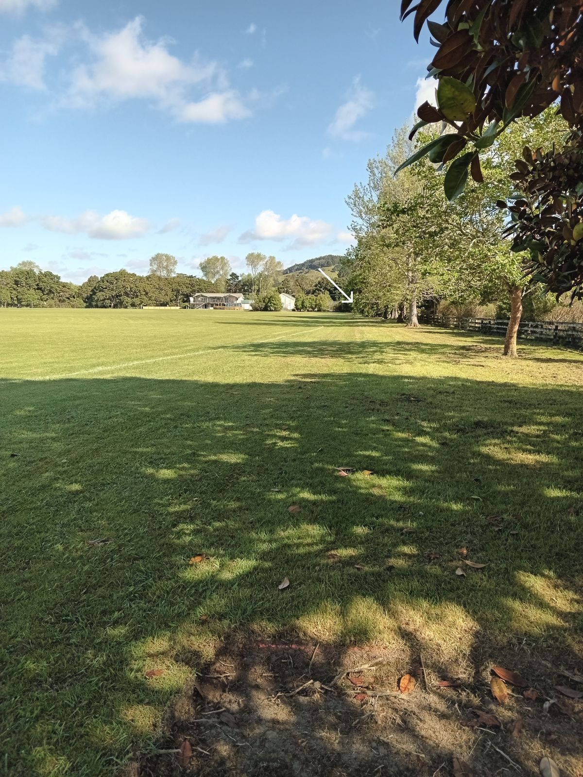 Hole 9, basket at the far end of the field tucked away in an alcove
