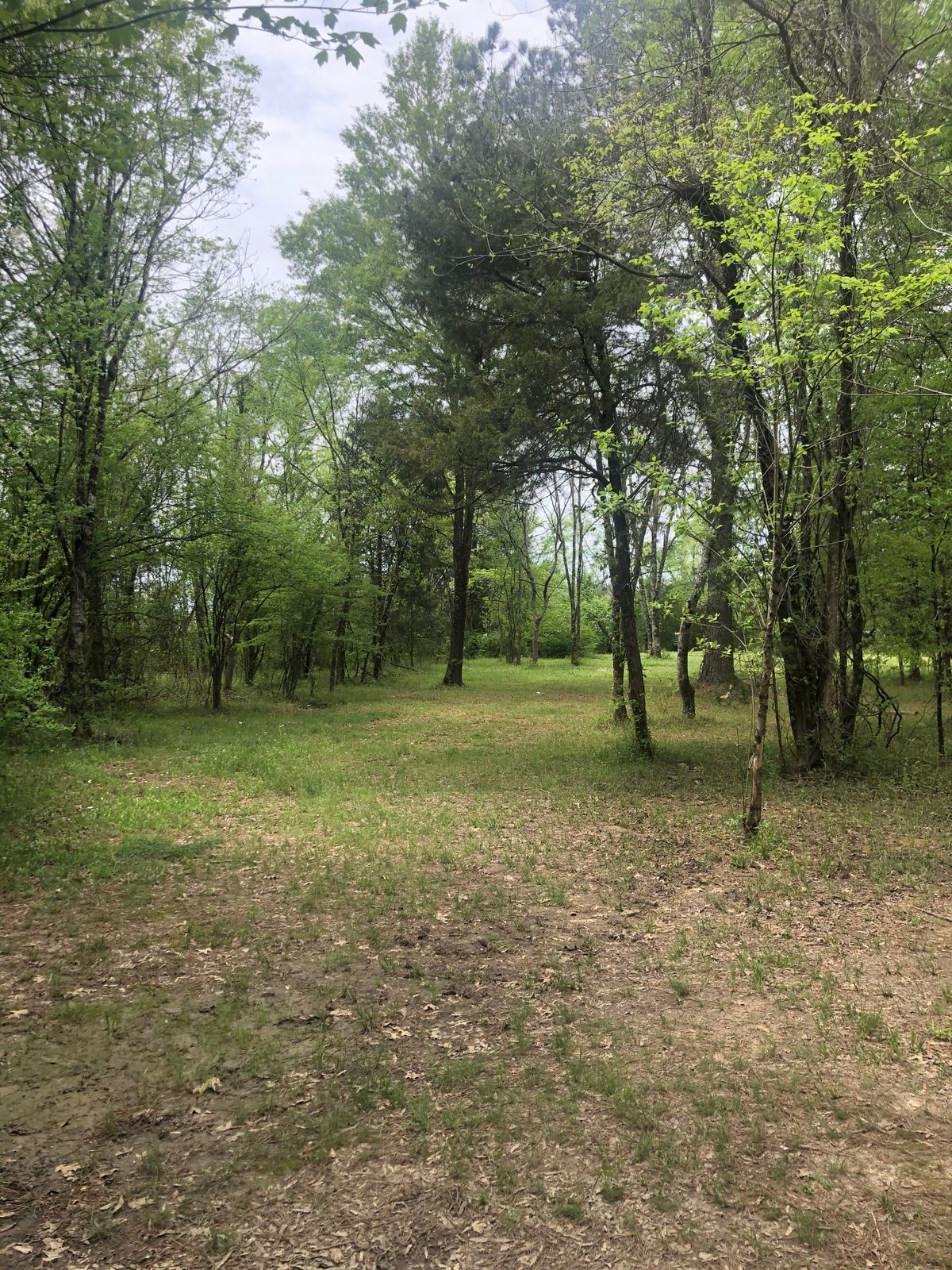 Hole 3