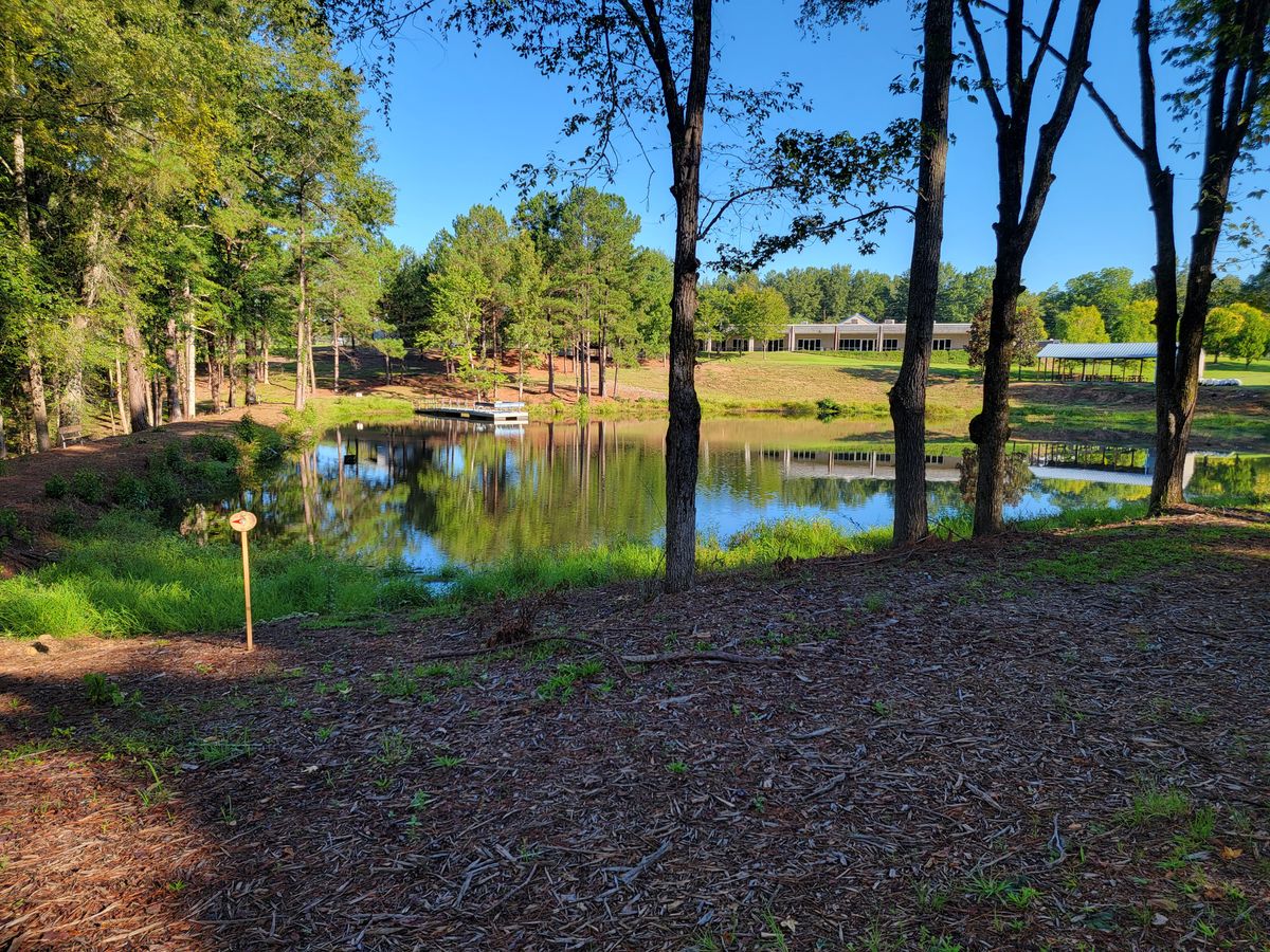 the pond