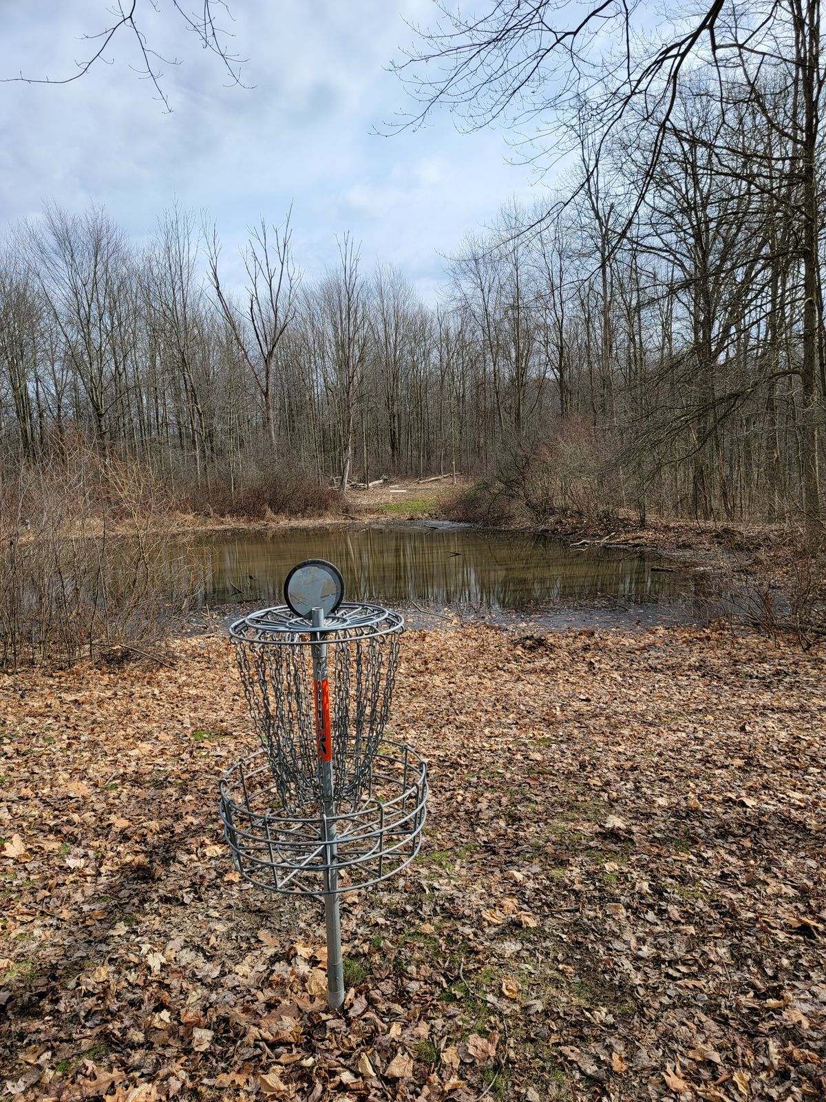 Hole 11 (Basket looking at white tee)