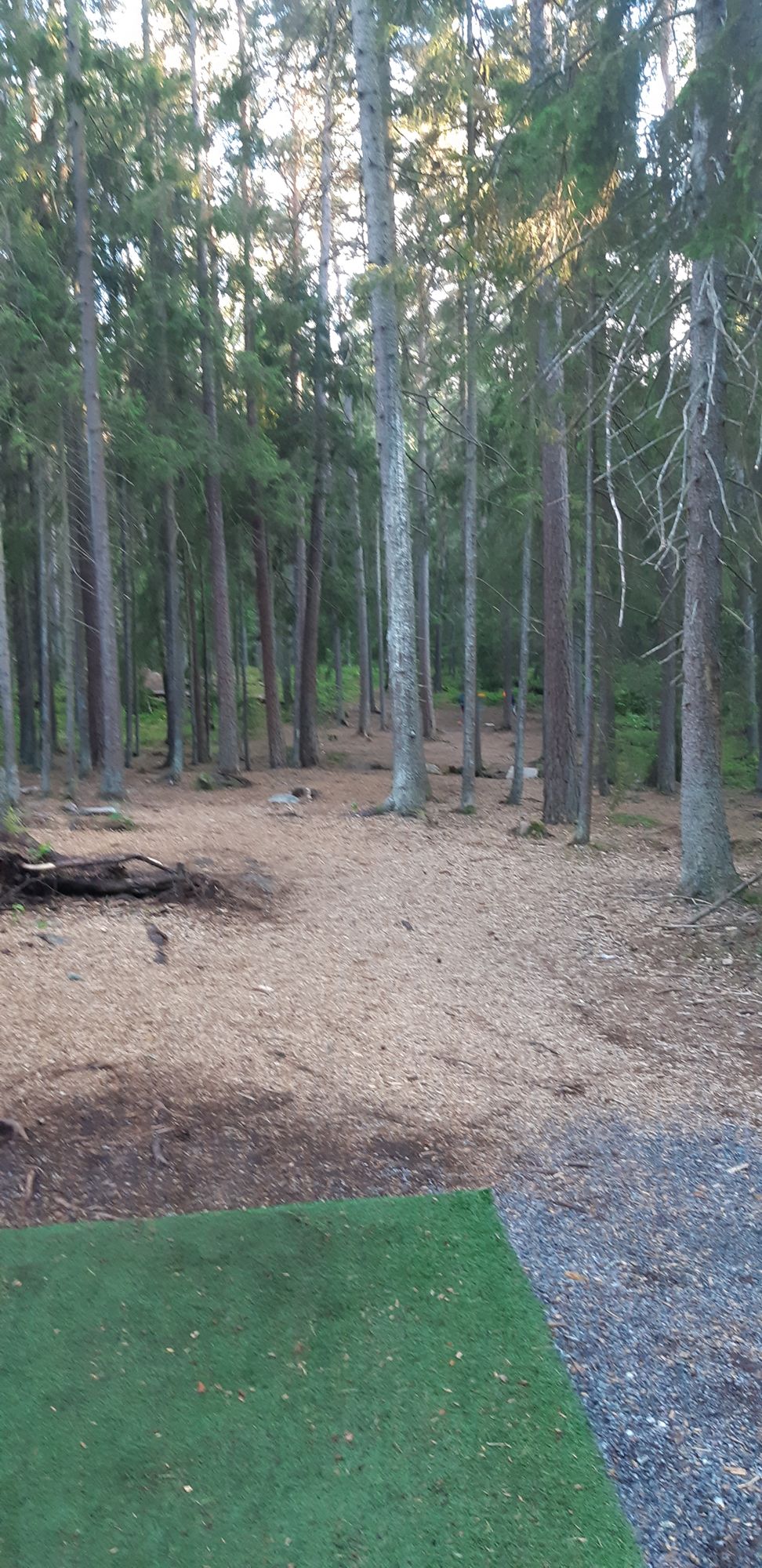 Hole 4