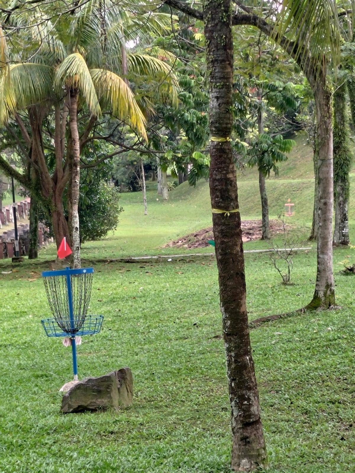 Hole 10 basket in the foreground and Hole 9 basket in the background.