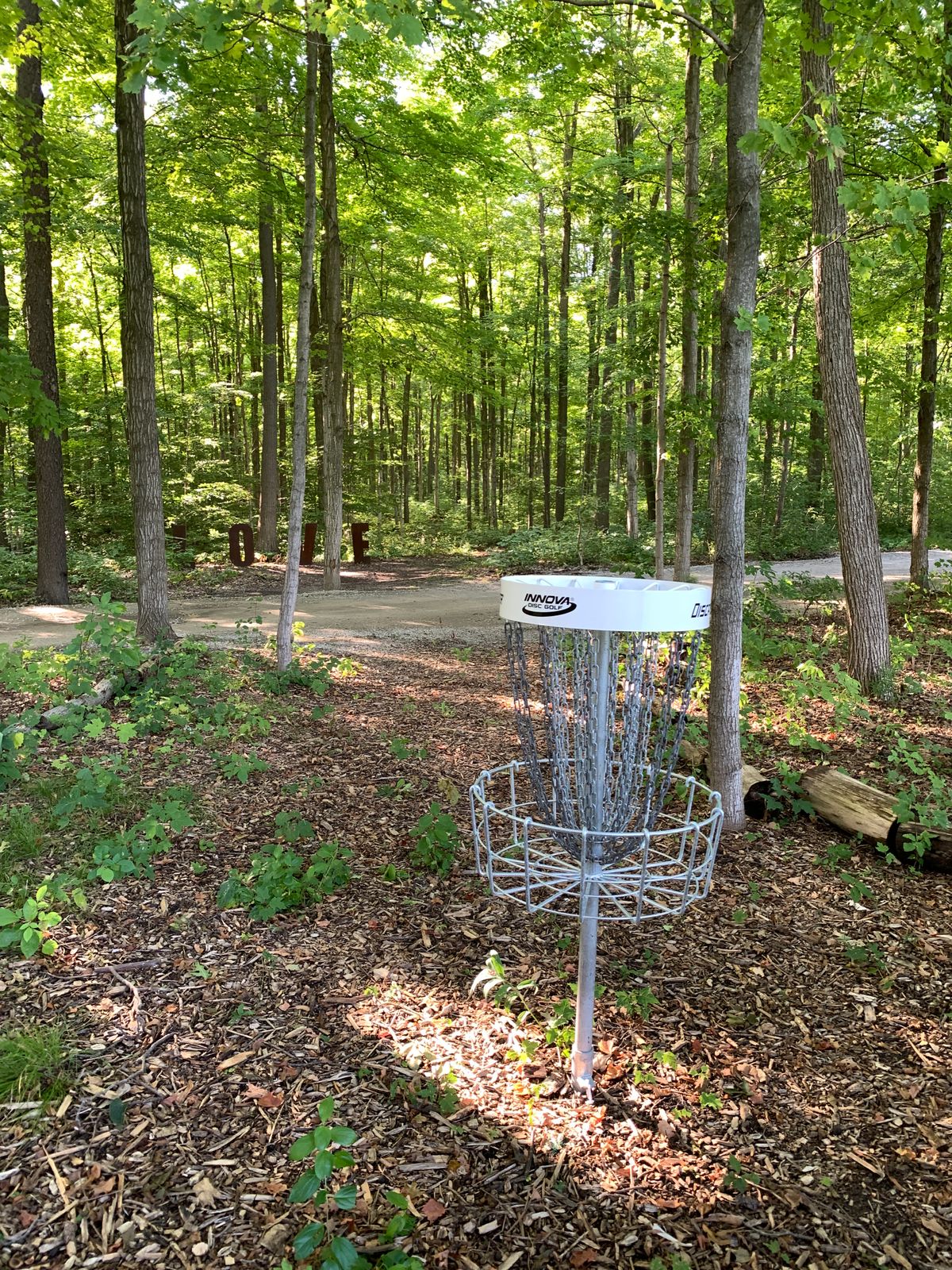 Hole 9 looking back at the tee.