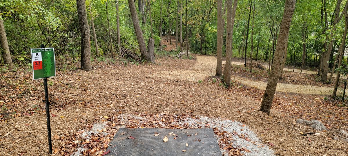 Hole 8/17 tee.