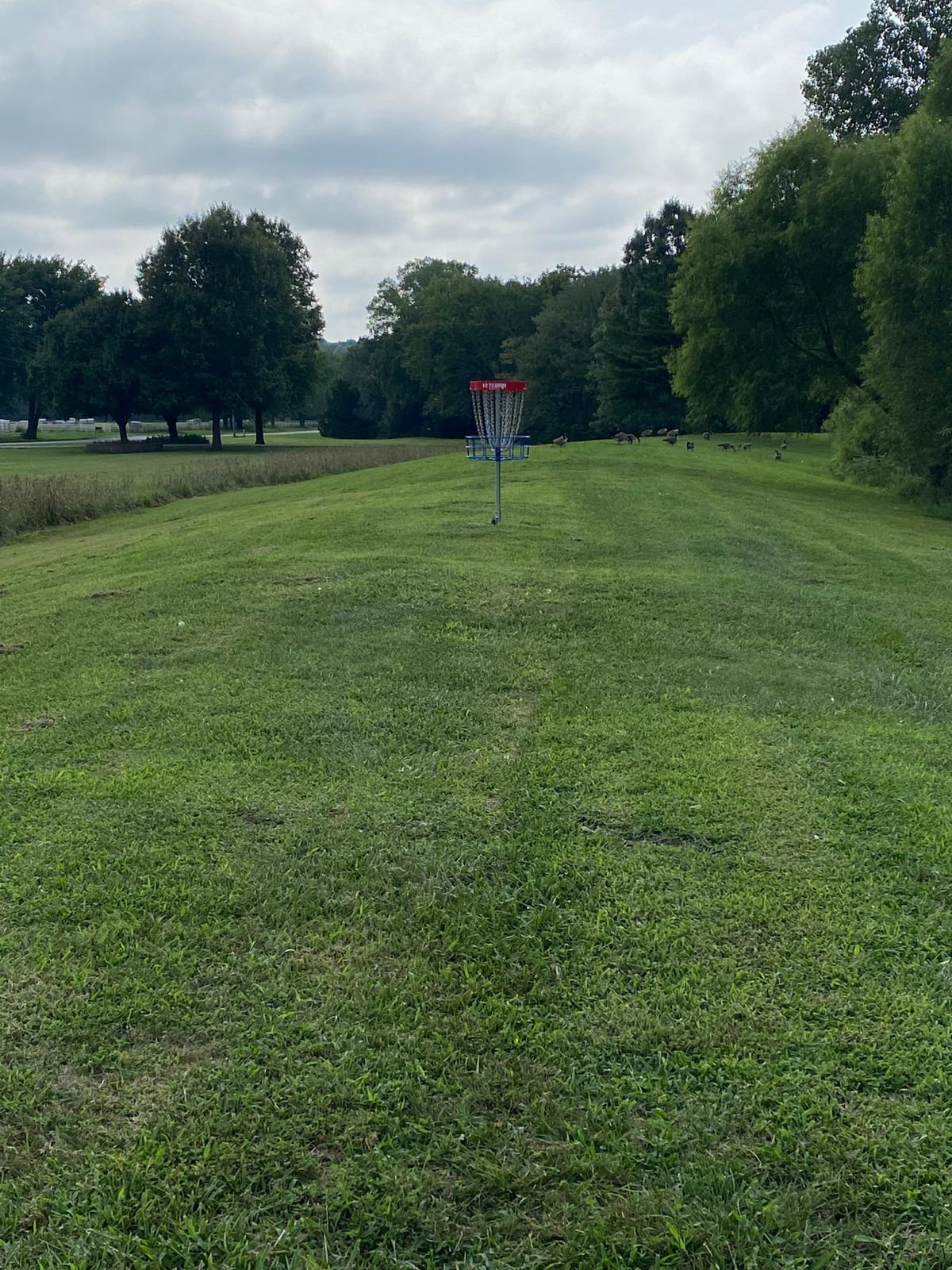 Drop zone look from hole #6.