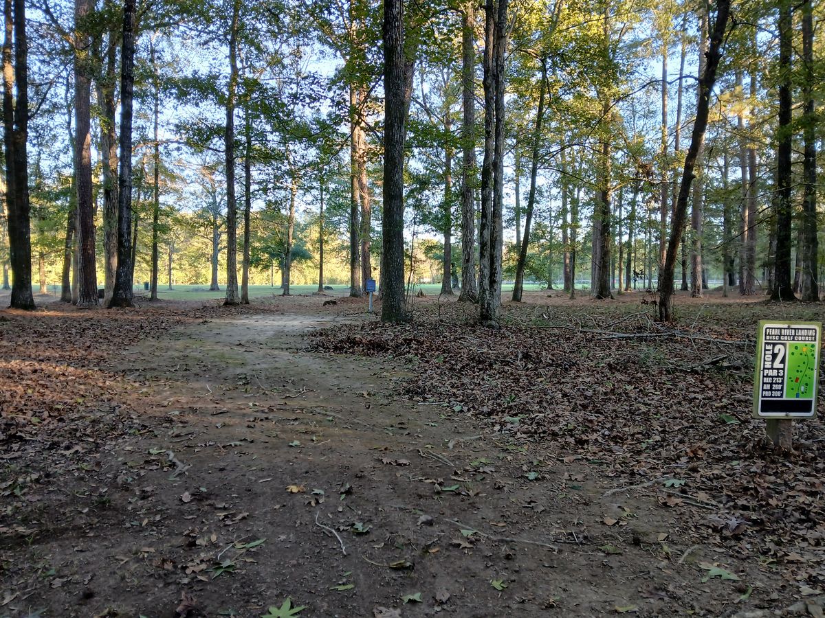 Hole 2 Blue tee (long)