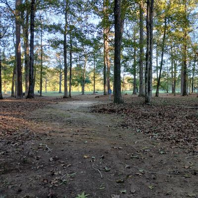 Hole 2 Blue tee (long)