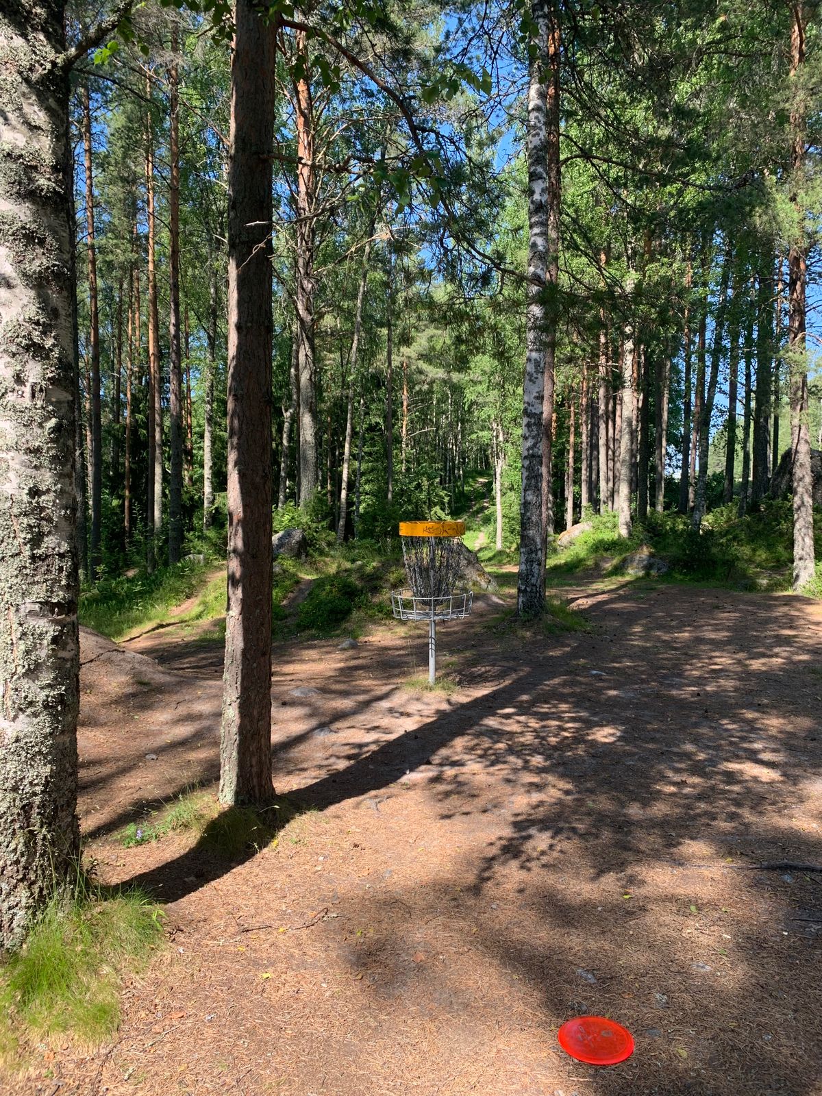 Hole 7