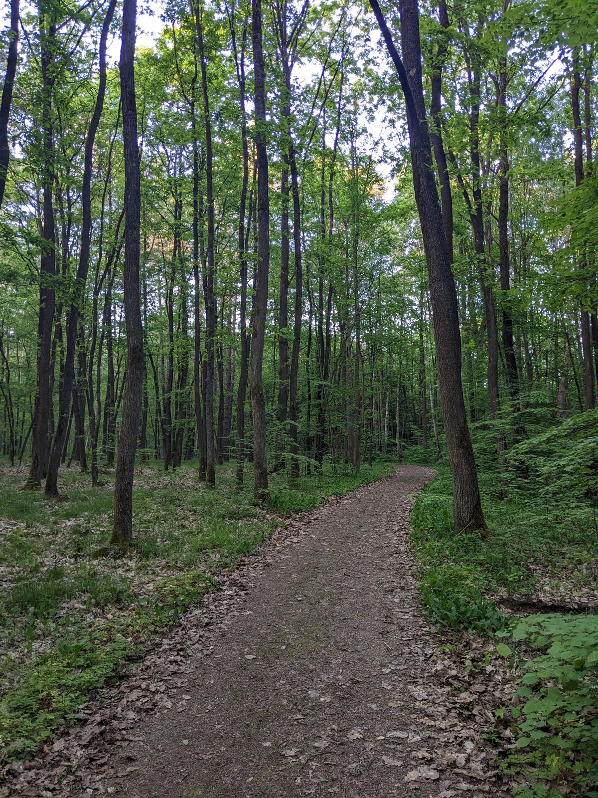 Hole 8