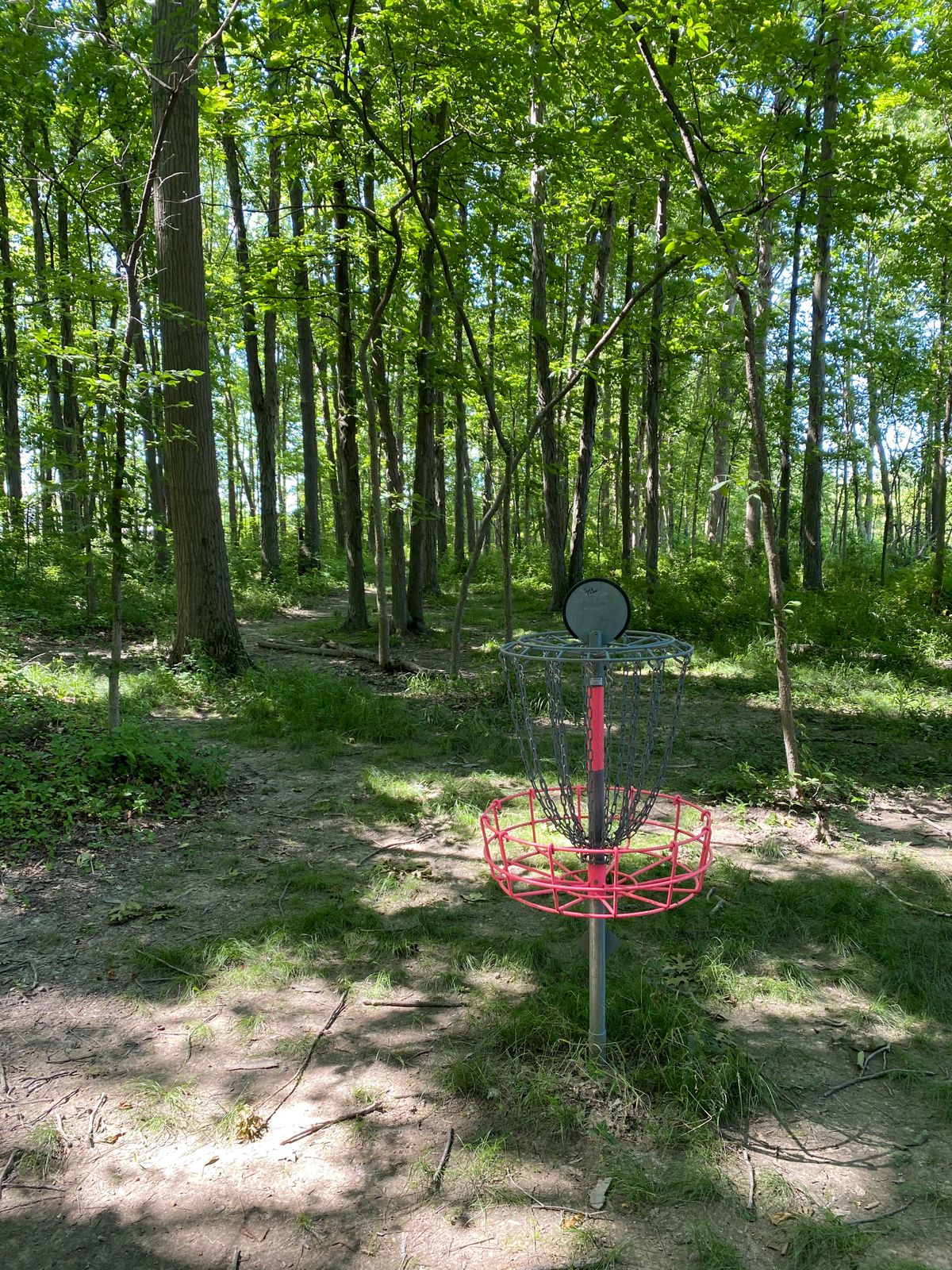 Hole 4 (Reverse)