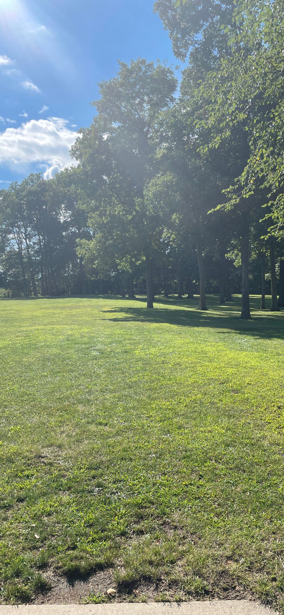 #1 tee box