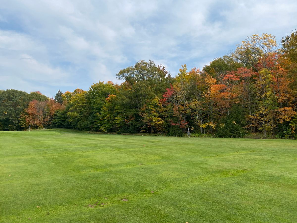 Hole 15 Fairway & Basket