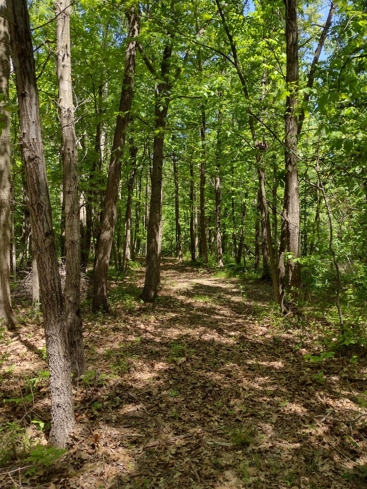 Right hand approach hole 12