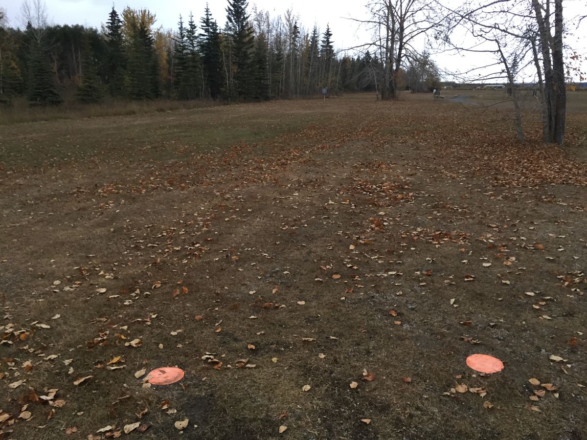 15: tee pad