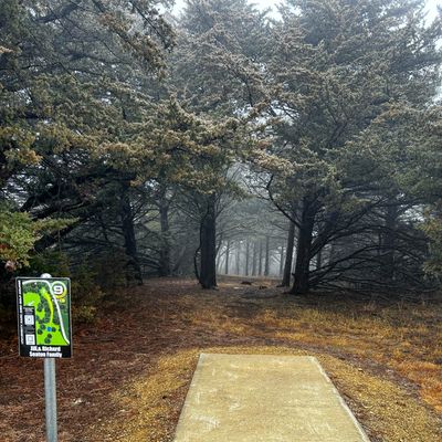 Blind shot down to the left, heavily wooded