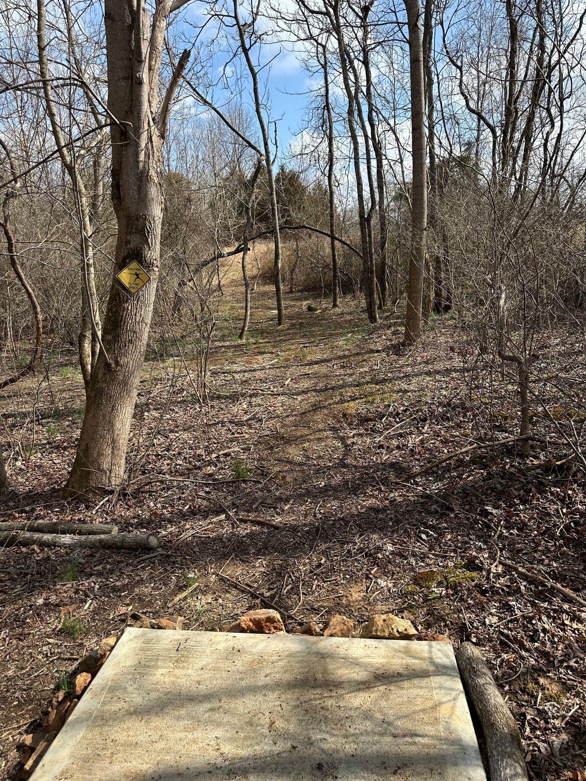 Tee pad 11