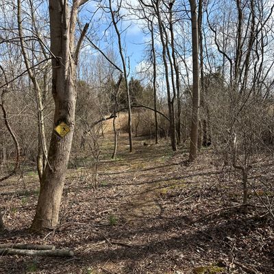 Tee pad 11