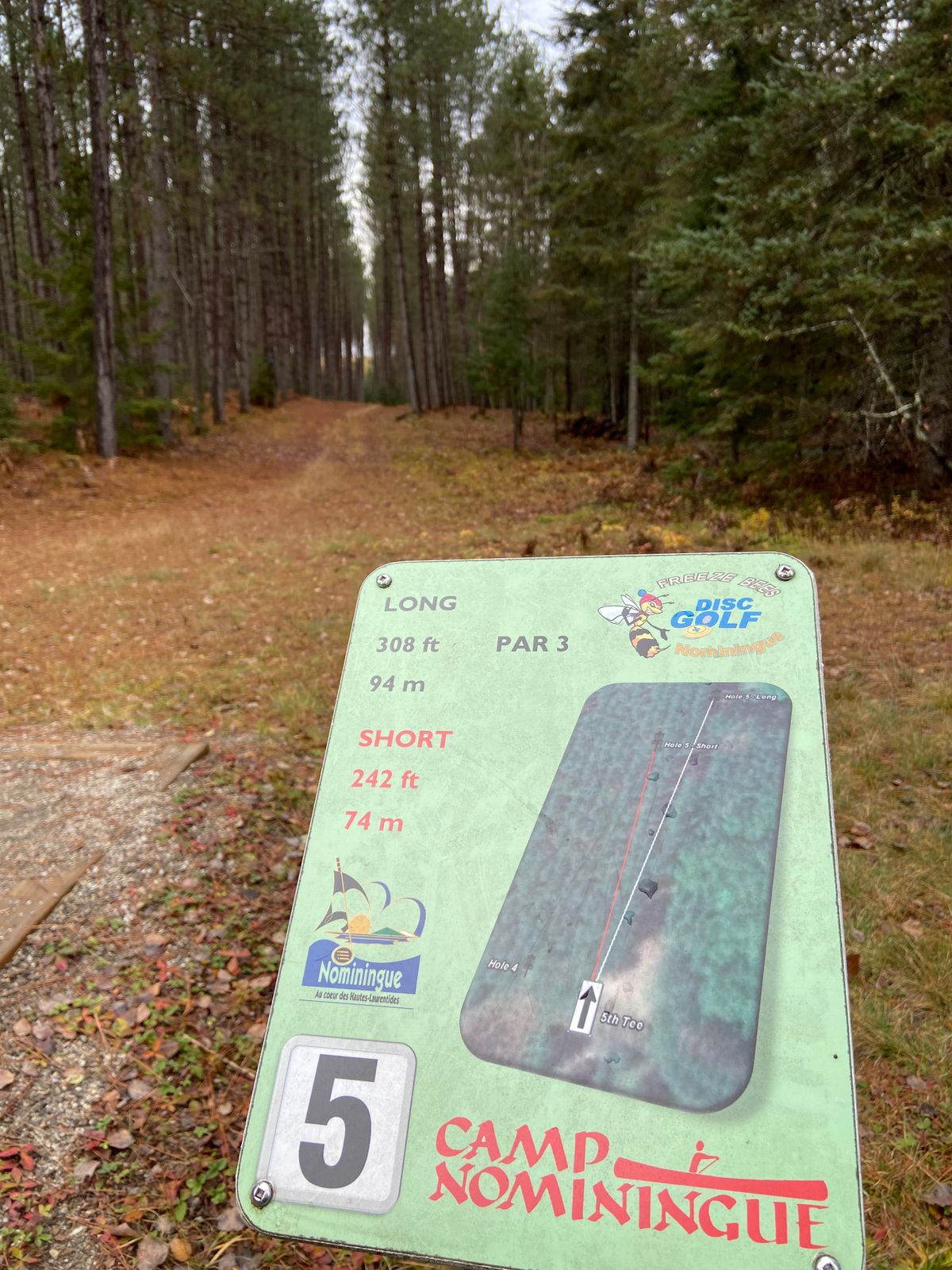 Tee 5