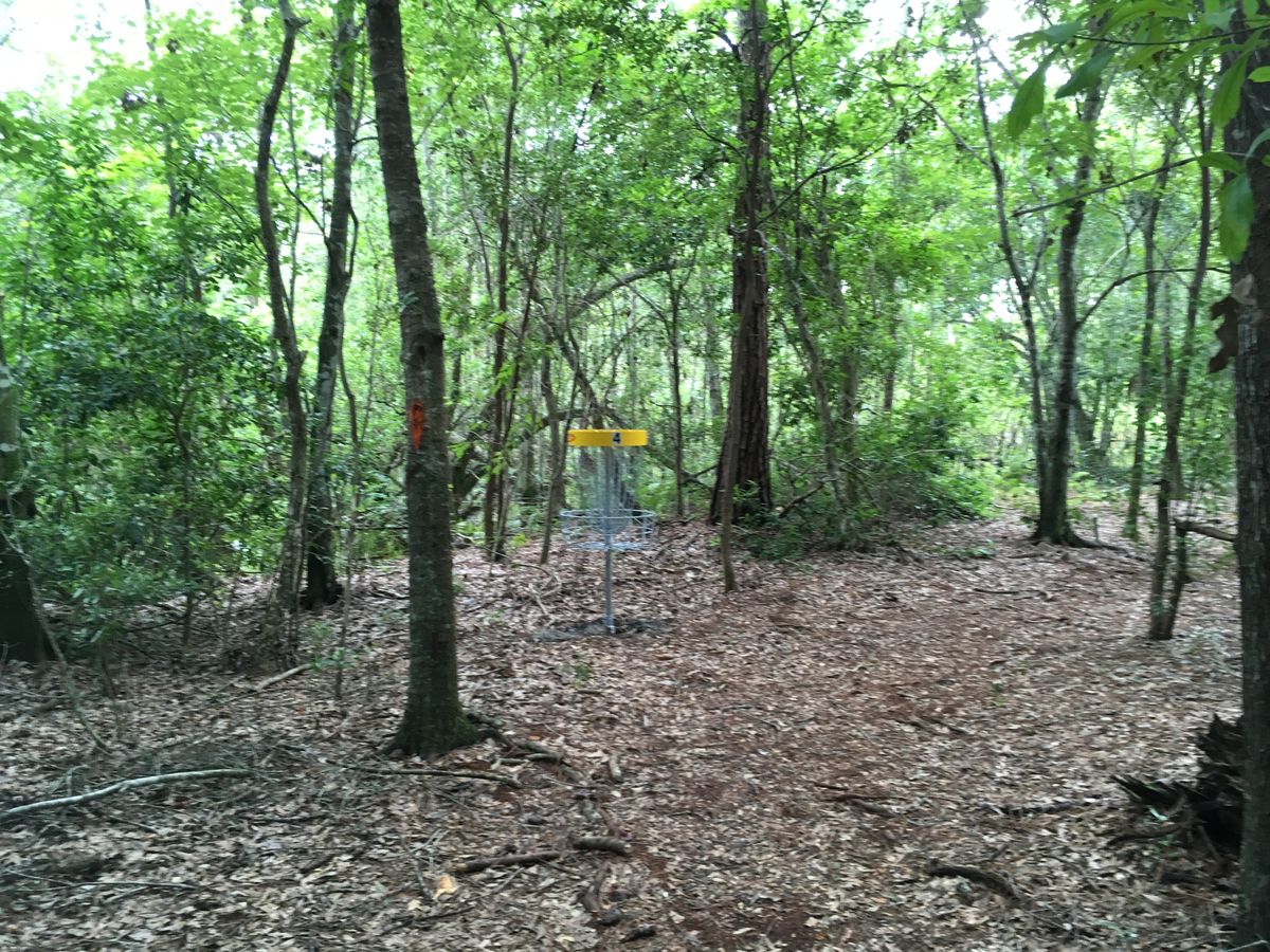 Hole 4 Basket
