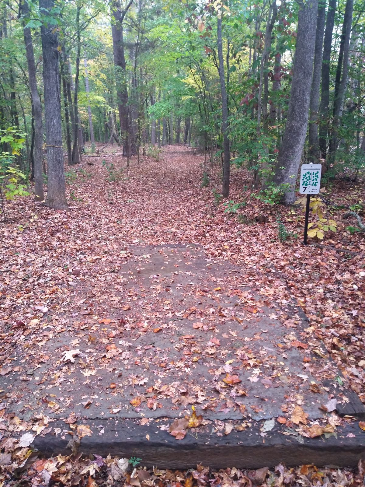 tee box and fairway. Stay to the right.