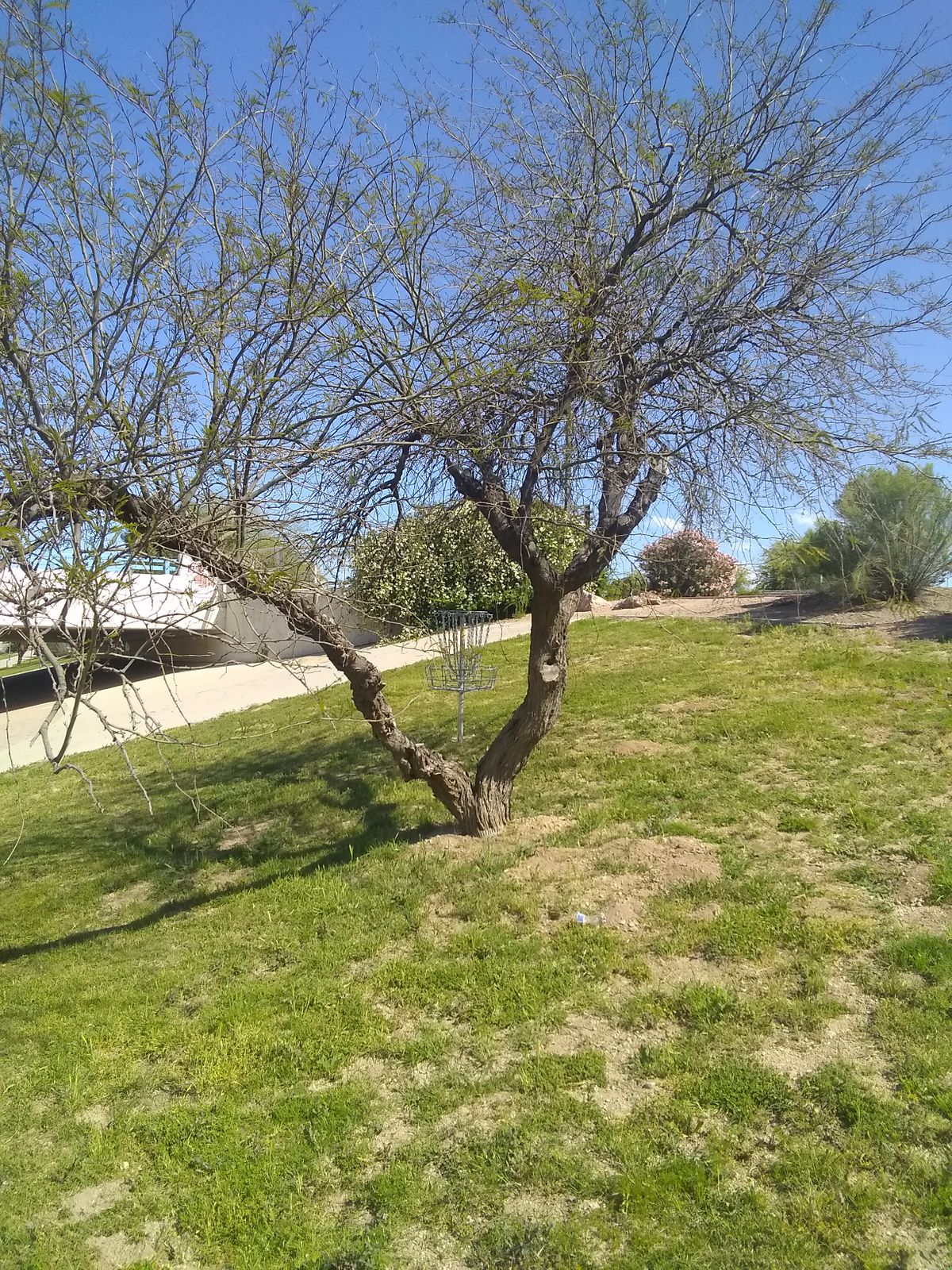 Hole 18 Long