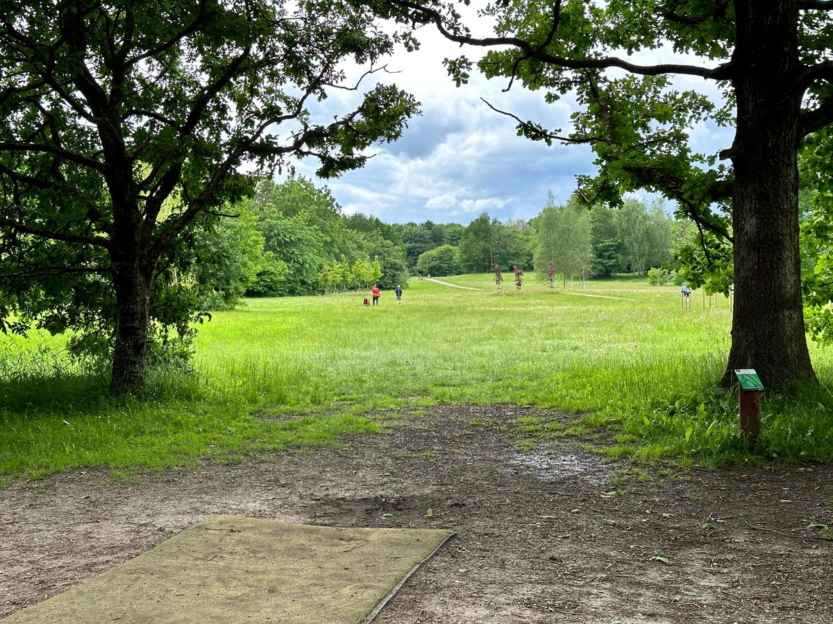 Yellow tee, hole 12