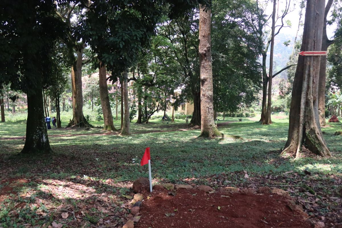 Hole 2 short tee