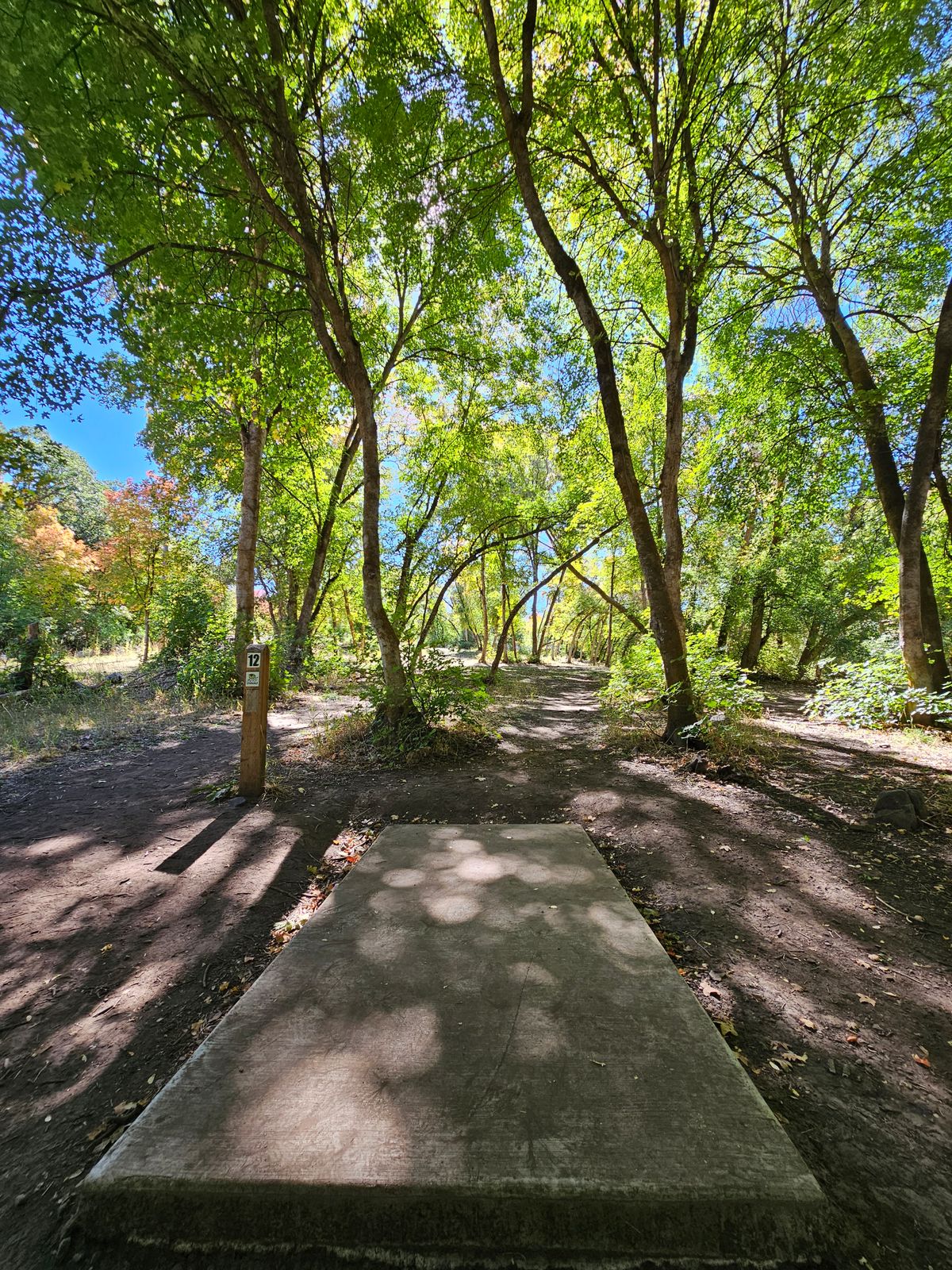 Tee Pad #12