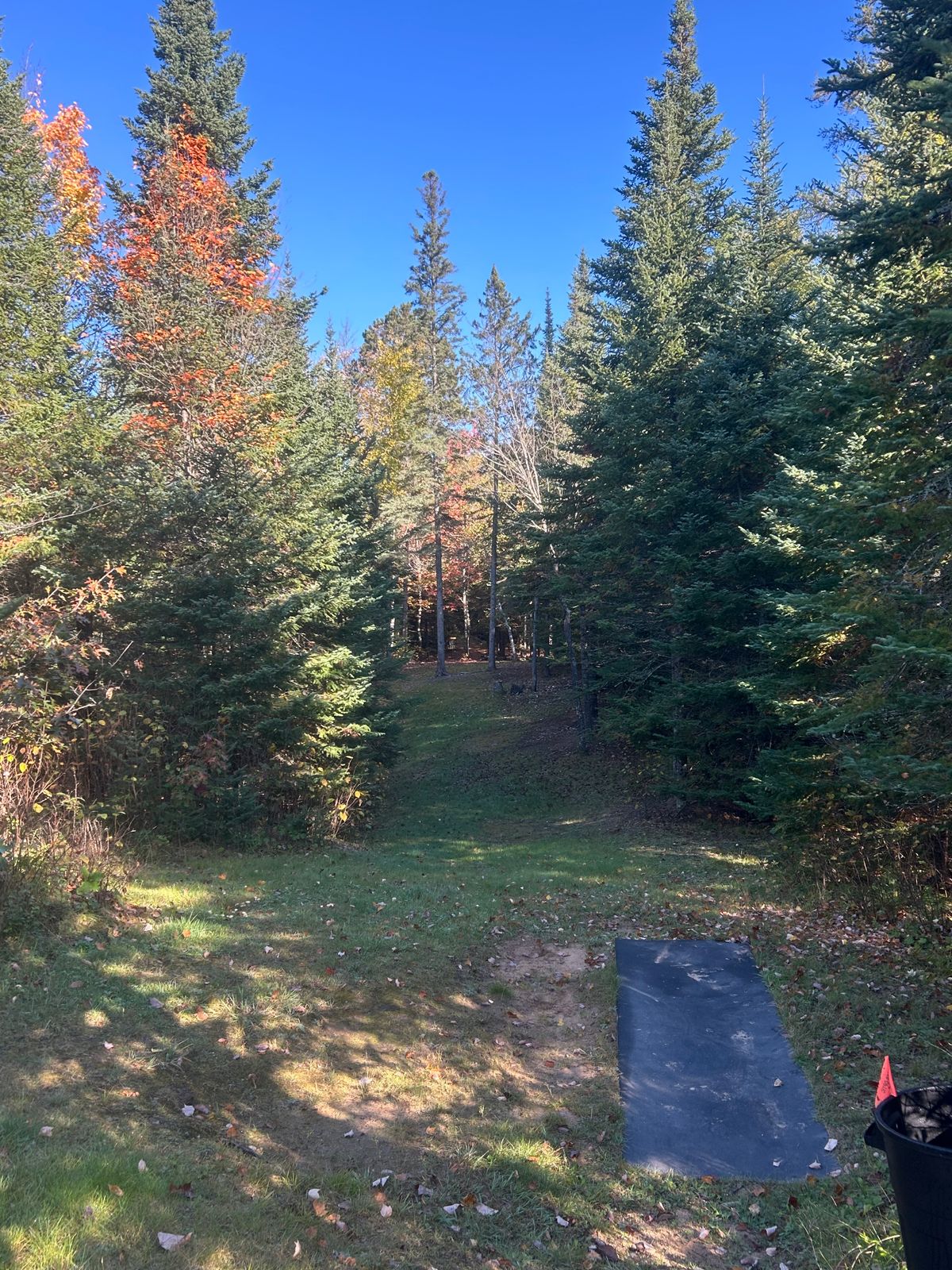 Hole 11 fairway